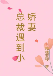 總裁遇到小嬌妻 封面