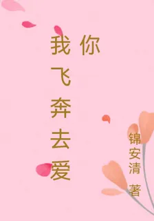 我飛奔去愛你 封面