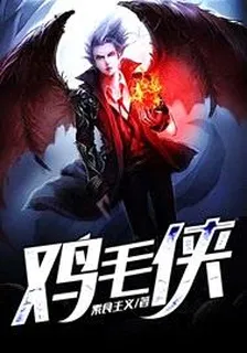 鸡毛侠 封面