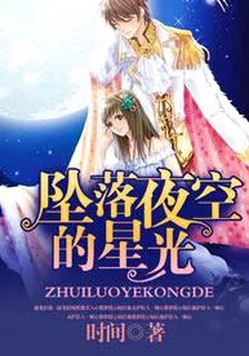 墜落夜空的星光 封面