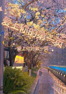 愛上你的第一頁 封面