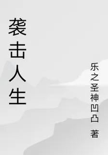 襲擊人生 封面