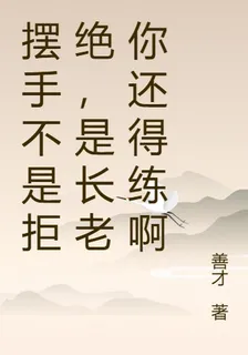 擺手不是拒絕，是長老你還得練啊 封面