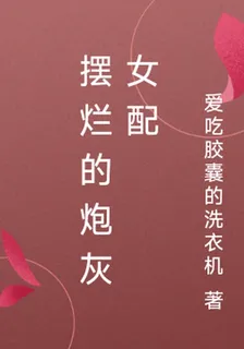 擺爛的炮灰女配 封面