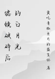 濾鏡破碎後的白月光 封面