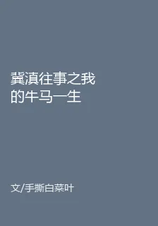 冀滇往事之我的牛馬一生 封面