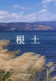 根土 封面