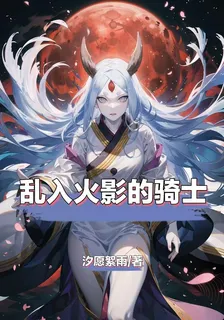 亂入火影的騎士 封面