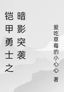 鎧甲勇士之暗影突襲 封面