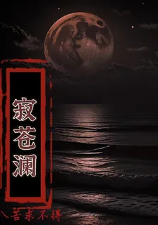 寂蒼瀾 封面