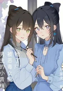 男主的小青梅被惡毒女配搶了？！ 封面