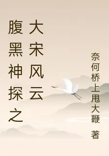 腹黑神探之大宋風雲 封面