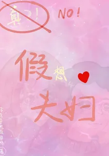 假想夫婦 封面