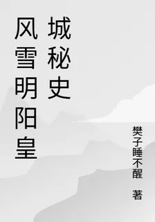 風雪明陽皇城祕史 封面