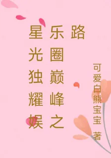 星光獨耀娛樂圈巔峯之路 封面