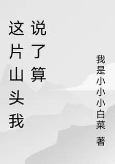 這片山頭我說了算 封面