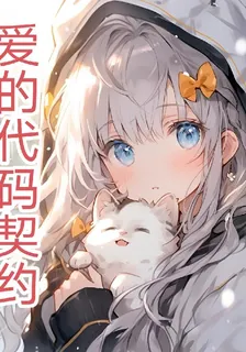 愛的代碼契約 封面