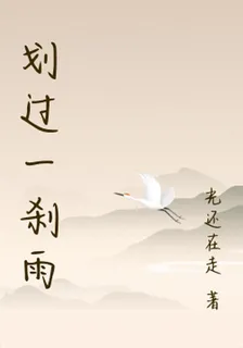 劃過一剎雨 封面