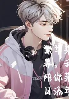 繁華落幕，我陪你落日流年 封面