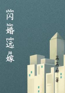 閃婚遠嫁 封面