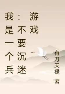 我是一個兵：不要沉迷遊戲 封面