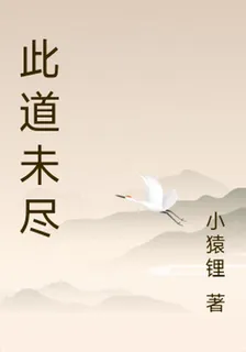此道未盡 封面