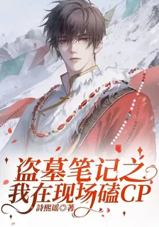 盜墓筆記之我在現場磕CP 封面