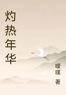 灼熱年華 封面