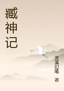 臧神記 封面