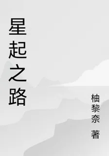 星起之路 封面