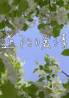 逆陽暖清 封面