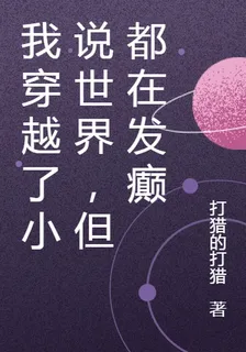 我穿越了小說世界，但都在發癲 封面