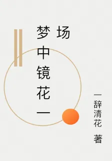 夢中鏡花一場 封面