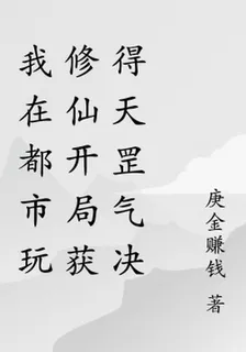我在都市玩修仙開局獲得天罡氣決 封面