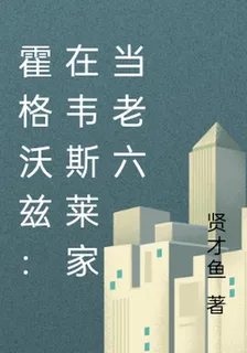 霍格沃茲：在韋斯萊家當老六 封面