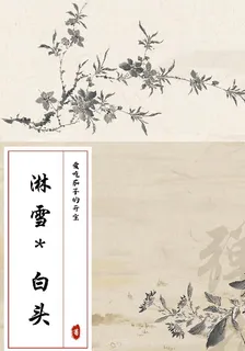 淋雪，白頭 封面