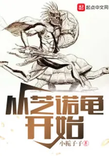 從芝諾龜開始 封面