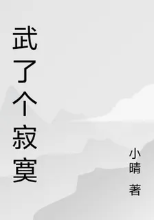 武了個寂寞 封面