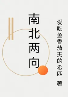 南北兩向 封面