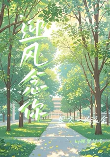 迎風念你 封面