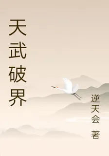 天武破界 封面