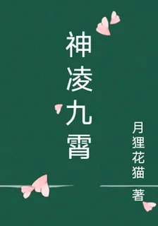 神凌九霄 封面