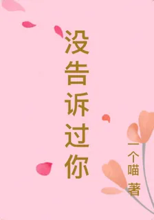 沒告訴過你 封面