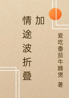 情途波折疊加 封面