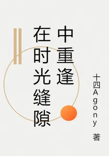 在時光縫隙中重逢 封面