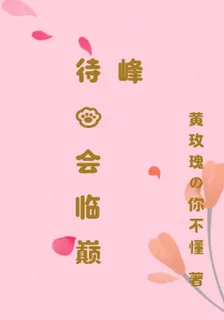 待我會臨巔峯 封面