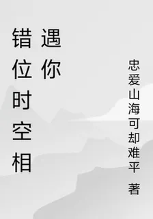 錯位時空相遇你 封面