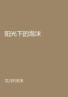 陽光下的泡沫 封面