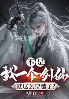 不是，我一個劍仙就這麼穿越了？ 封面