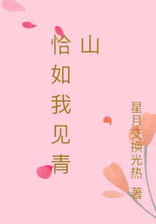 恰如我見青山 封面
